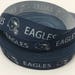 Eagles ribbons, football ribbons, 7/8 inch Grosgrain ribbon