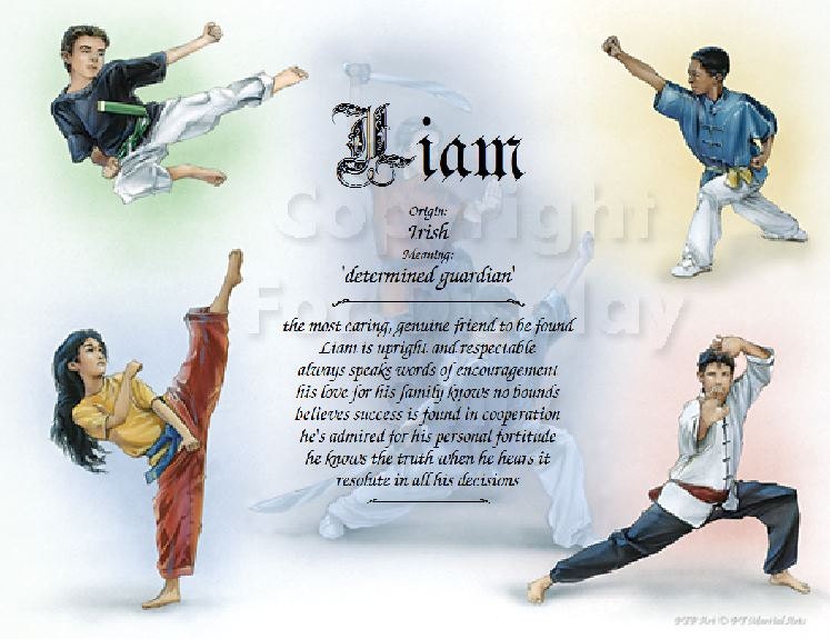 Personalized Martial Arts Name Meaning Print Etsy