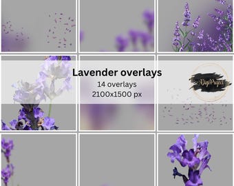 Lavender overlays, digital overlays, flower overlays, summer overlays, wedding overlays, photography overlays