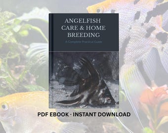 Angelfish Care & Breeding eBook | Ethical Aquarium Guide | Fry Feeding, Spawning, Baby Brine Shrimp | Beginner to Advanced