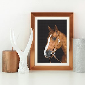 Horse cross stitch pattern, animal cross stitch pattern, brown horse pattern design, DIY cross stitch pattern, pdf chart pattern