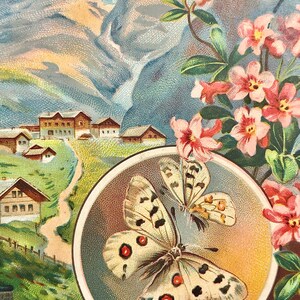 Cartões comerciais antigos Liebig comércio cromo litografia vitoriana scrapbook fornecimento diário projeto impressão borboleta montanha flor