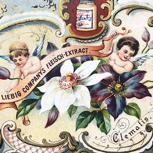 Antieke handelskaart Liebig Chromo ephemera baby cherubijn bloementuin Victoriaans