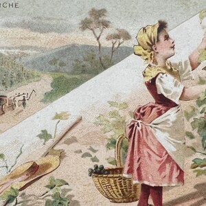 Carte de commerce antique Au Bon Marché éphémère victorien scrapbook ad art print raisin vignes vin