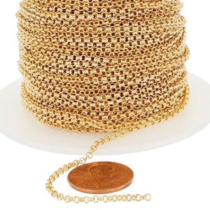 1 Foot of 2 mm 14K Gold Filled Rolo Chain (GF3216)