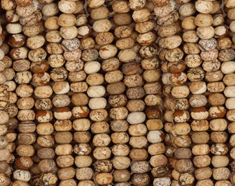 Picture Jasper Rondelle Beads: Faceted Gemstone Strand, 6.5-7mm