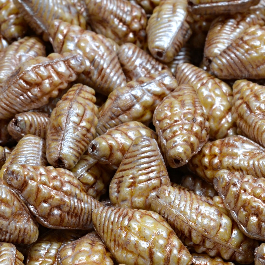 8 Pcs 16x8mm Miter Shell Pressed Czech Glass Beads -brown(ch7404104) - Etsy