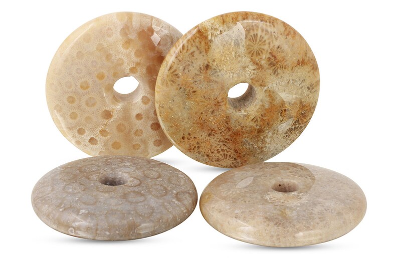 CO100109 1 Pc 40-42 mm Fossil Coral Circle Shaped Smooth Heavy Gemstone Pendant