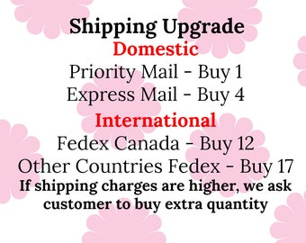 Shipping Upgrade-PURCHASE SEPERATE TRANSACTION Only purchase if you have previous order pending(Upgrade)