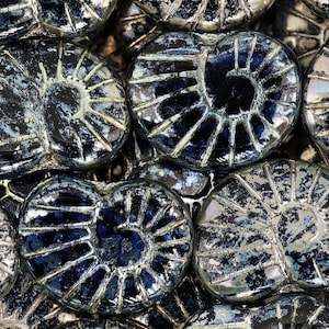 Cuentas de vidrio checas en forma de caracol, 17 x 13 mm, 8 unidades, color negro y dorado (CH7403121)