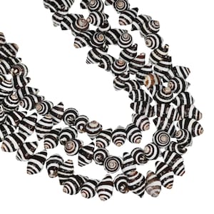 May include: A multi-strand necklace composed of numerous small, conical sea shells. Each shell features a distinct pattern of alternating dark brown and white horizontal stripes, creating a uniform, repetitive visual texture across the entire piece.