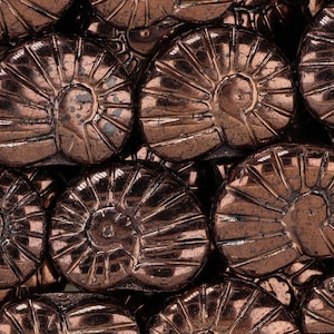 Cuentas de vidrio checas en forma de caracol, 17 x 13 mm, 8 unidades, color cobre (CH7403125)