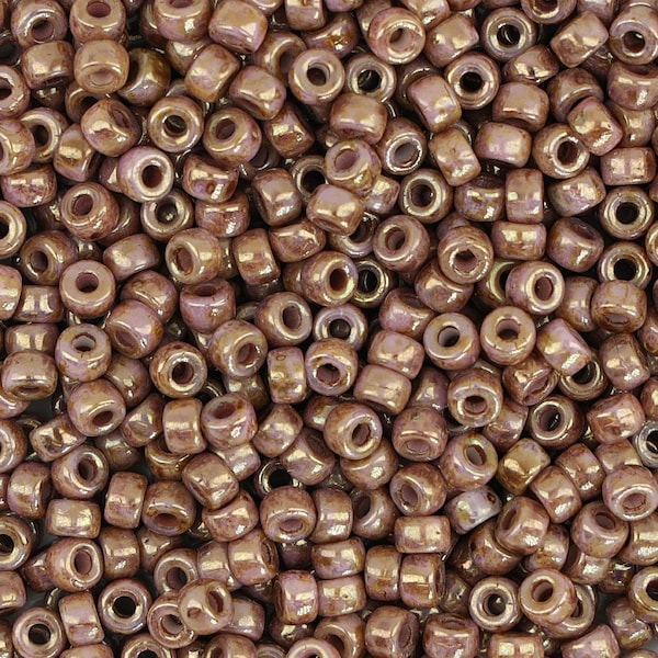 Matubo™ 8/0 Seed Beads - Brown and Purple(CH2100008)