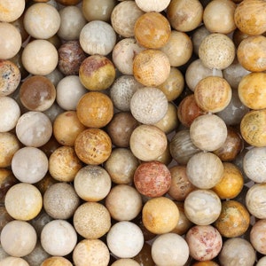 15 In Strand of 8 mm Natural Fossil Coral Round Smooth Beads(FSC100103)