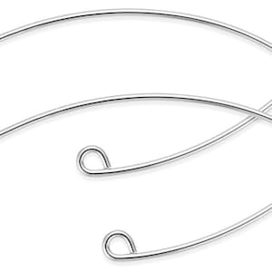 May include: Two silver-toned earring hooks with a curved shape and a small loop at the end.
