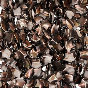 15 In Strand of 15 MM Dyed Mother of Pearl Star Beads(MO100127)
