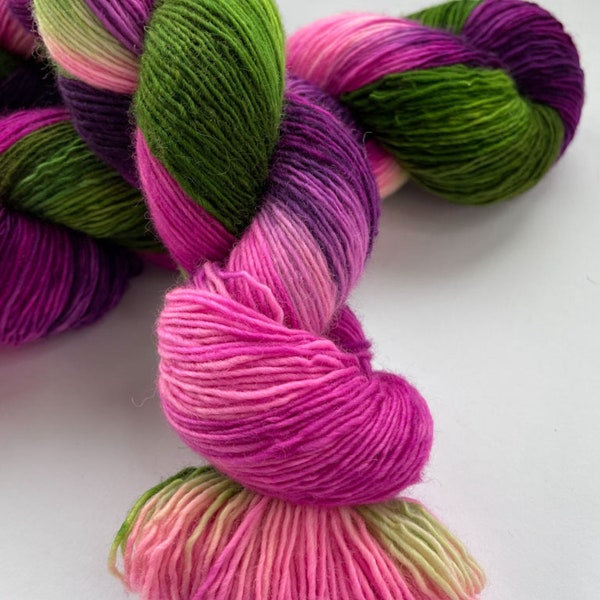Hand dyed superwash Merino single ply sock weight yarn. ‘Berry bush’