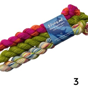 Handgeverfde Super Wash Merino mini-strengenset. Drie strengen van 20 gram per set. afbeelding 4