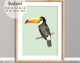 Toucan Print, Tropical Printables, Toucan Printable, Toucan dining room Print, Toucan Wall Art, Toucan Art