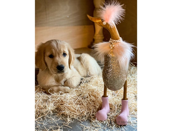 Buy Tess Gold Glitter and Cape Decorated Wooden Duck in Boots by Mrs H the Duck Lady Online in India Etsy
