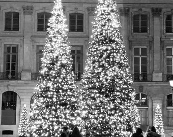 Christmas Trees On Place Vendome, Paris