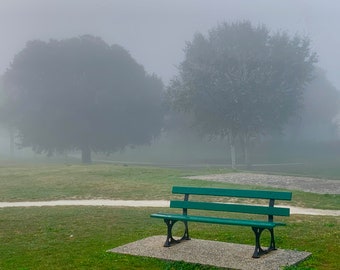 Green Bench In Fog- Ile de Ré, France