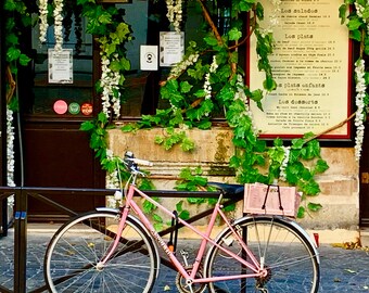 Pink Bicycle in Place Saint Catherine