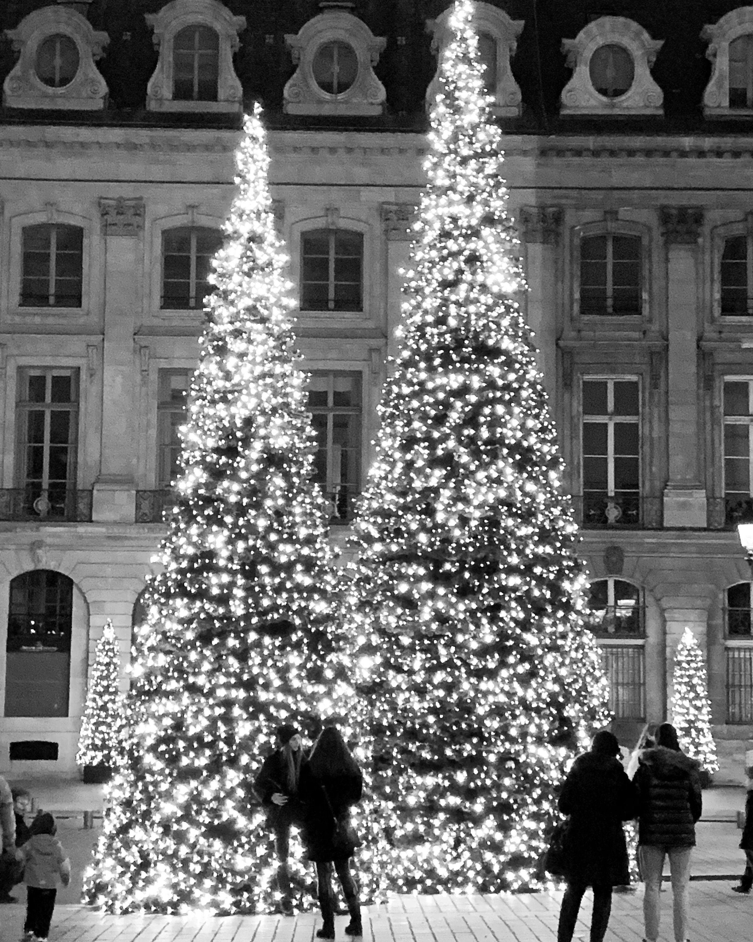 Christmas Trees on Place Vendome, Paris Etsy