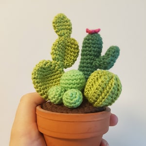 Amigurumi cacti pattern pdf cute cactus