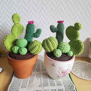 Amigurumi Cacti Pattern Pdf Cute Cactus - Etsy