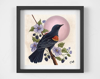 Red-Winged Blackbird Illustration 8x8