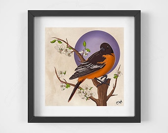 Oriole Illustration 8x8