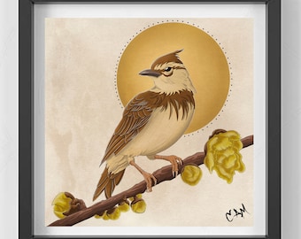 Skylark Digital Illustration Art Print 8x8