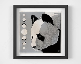 Panda Bear