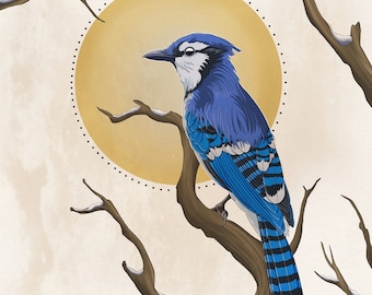 Bluejay 8x8 Illustration