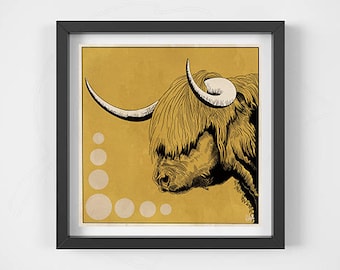 Highland Cattle