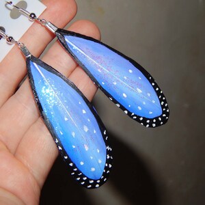 butterfly wing, feather earrings