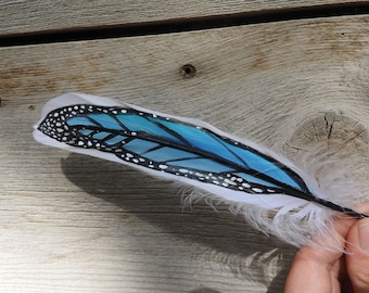 Pluma pintada, mariposa monarca azul