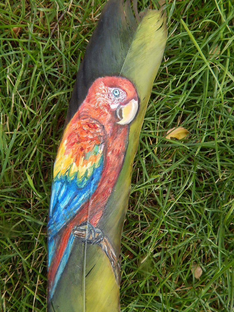 Parrot painting Painted feather Etsy