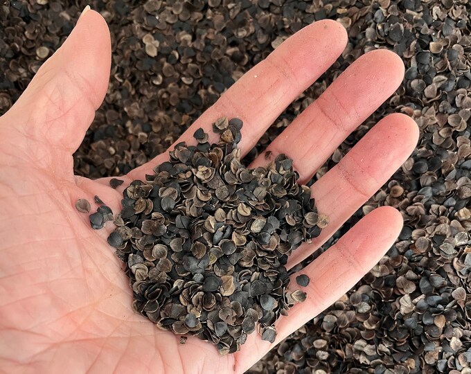 Organic Buckwheat Hulls for Filling Pillows, Cushions and Crafts Etsy