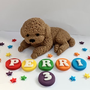 May include: A brown poodle cake decoration with the name "PERRI" in colourful letters and the number "3". The scene is decorated with colourful star-shaped sprinkles, ideal for a birthday celebration.