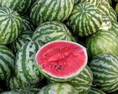 Watermelon seeds Ukraine heirloom Berries Fruit seeds Astrakhan average 615