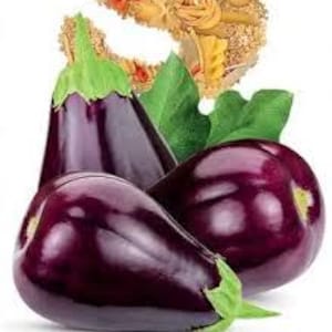 Aubergine Samen Black Skychitano