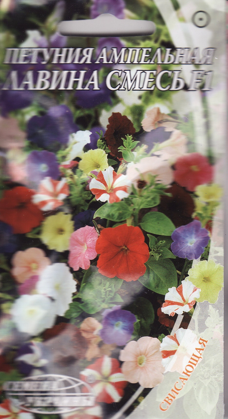 Petunia Hang-downing Avalanche Mix Flower Seeds - Etsy Canada