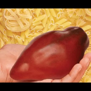 Tomate Samen schwarze Hengst