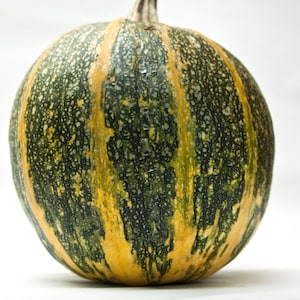 Puede incluir: Una calabaza rayada verde y amarilla con una textura moteada.