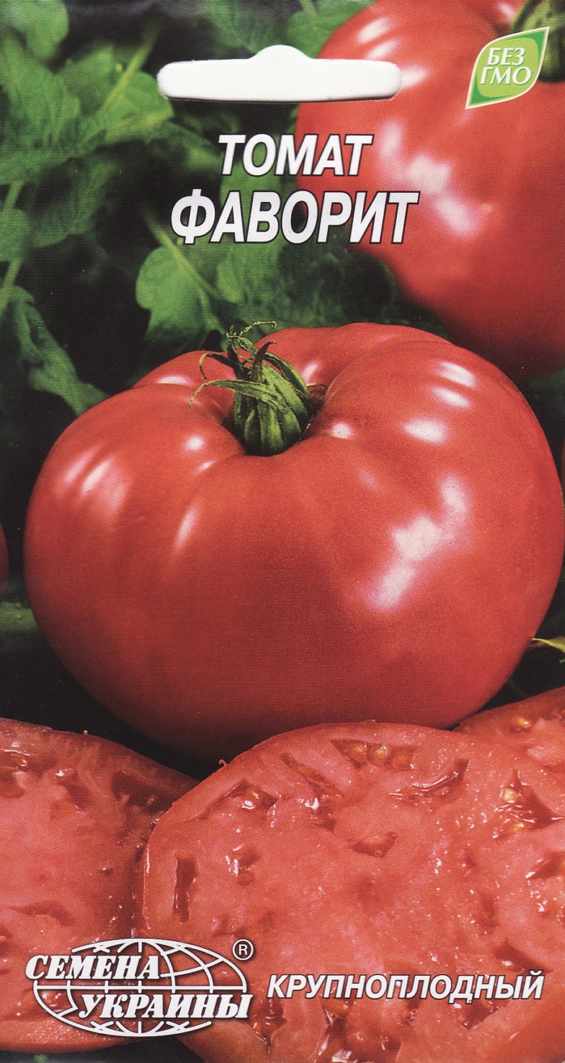 Tomato Seeds Favorit Ukraine Heirloom Vegetable Seeds 1348 Etsy