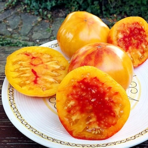 Tomato seeds Armenian