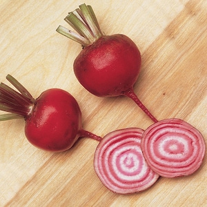 Beetroot Seeds Barshchou #1835