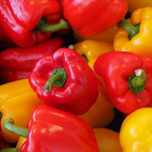 Pepper Seeds Bulgarian
